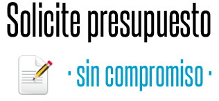 presupuesto pagina web