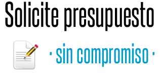 Presupuesto informatica